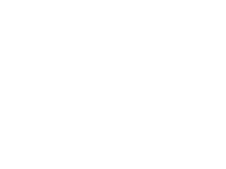Hungarian Grand Prix Track Map